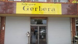 hair space   Gerbera  様